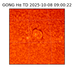 gong - 2025-10-08T09:00:22
