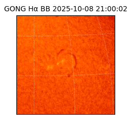 gong - 2025-10-08T21:00:02