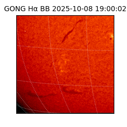 gong - 2025-10-08T19:00:02
