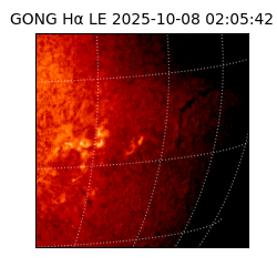 gong - 2025-10-08T02:05:42