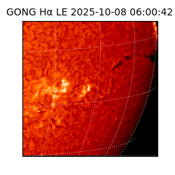 gong - 2025-10-08T06:00:42