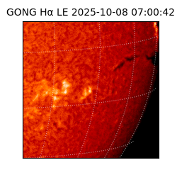 gong - 2025-10-08T07:00:42