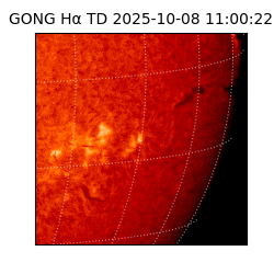 gong - 2025-10-08T11:00:22