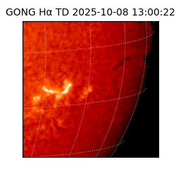 gong - 2025-10-08T13:00:22