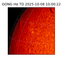 gong - 2025-10-08T10:00:22