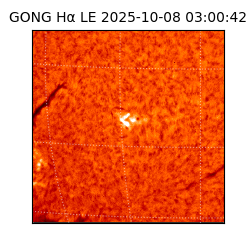 gong - 2025-10-08T03:00:42