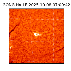 gong - 2025-10-08T07:00:42