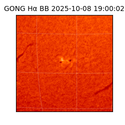 gong - 2025-10-08T19:00:02