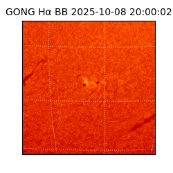 gong - 2025-10-08T20:00:02