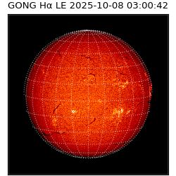 gong - 2025-10-08T03:00:42