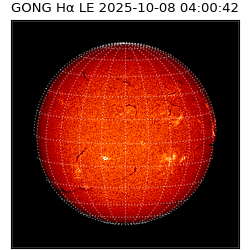 gong - 2025-10-08T04:00:42