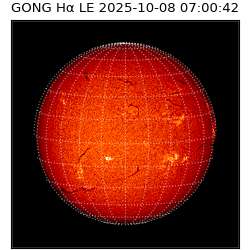 gong - 2025-10-08T07:00:42