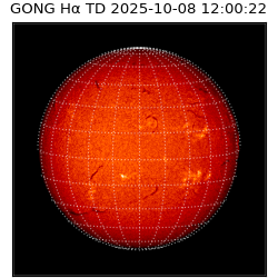gong - 2025-10-08T12:00:22