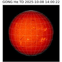 gong - 2025-10-08T14:00:22
