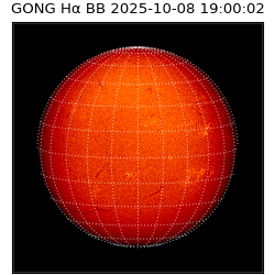 gong - 2025-10-08T19:00:02