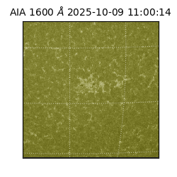 saia - 2025-10-09T11:00:14.130000