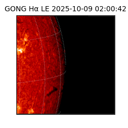 gong - 2025-10-09T02:00:42
