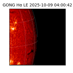 gong - 2025-10-09T04:00:42
