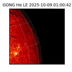 gong - 2025-10-09T01:00:42