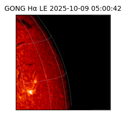 gong - 2025-10-09T05:00:42
