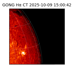 gong - 2025-10-09T15:00:42