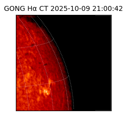 gong - 2025-10-09T21:00:42