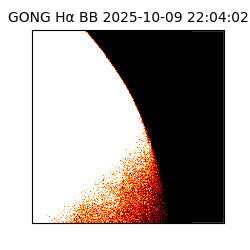 gong - 2025-10-09T22:04:02