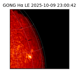 gong - 2025-10-09T23:00:42