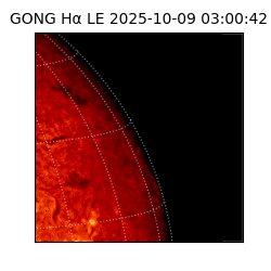 gong - 2025-10-09T03:00:42