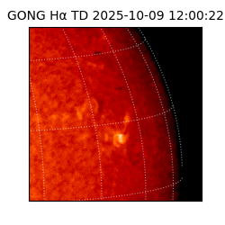 gong - 2025-10-09T12:00:22