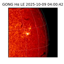 gong - 2025-10-09T04:00:42