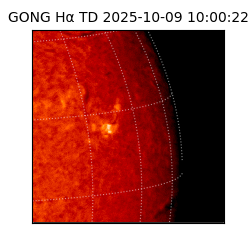 gong - 2025-10-09T10:00:22