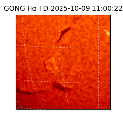 gong - 2025-10-09T11:00:22