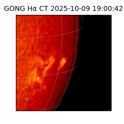 gong - 2025-10-09T19:00:42