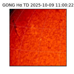 gong - 2025-10-09T11:00:22