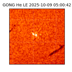 gong - 2025-10-09T05:00:42