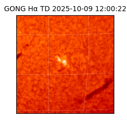 gong - 2025-10-09T12:00:22