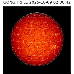 gong - 2025-10-09T02:00:42