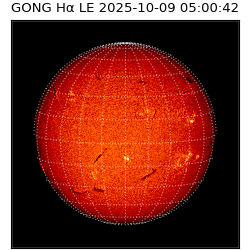 gong - 2025-10-09T05:00:42