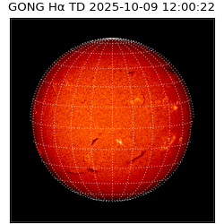 gong - 2025-10-09T12:00:22