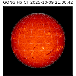 gong - 2025-10-09T21:00:42