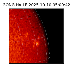 gong - 2025-10-10T05:00:42