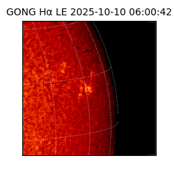 gong - 2025-10-10T06:00:42