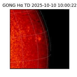 gong - 2025-10-10T10:00:22