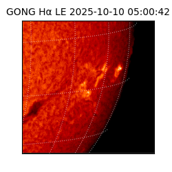 gong - 2025-10-10T05:00:42
