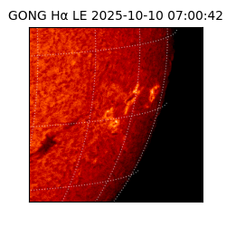 gong - 2025-10-10T07:00:42