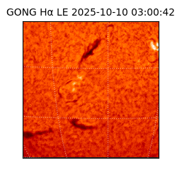 gong - 2025-10-10T03:00:42