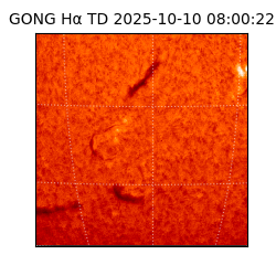 gong - 2025-10-10T08:00:22