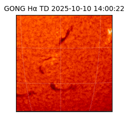 gong - 2025-10-10T14:00:22