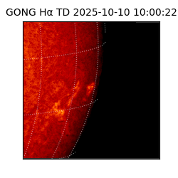 gong - 2025-10-10T10:00:22